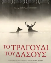 ΤΟ ΤΡΑΓΟΥΔΙ ΤΟΥ ΔΑΣΟΥΣ