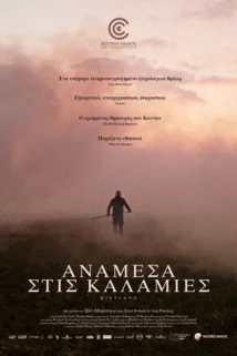 ΑΝΑΜΕΣΑ ΣΤΙΣ ΚΑΛΑΜΙΕΣ