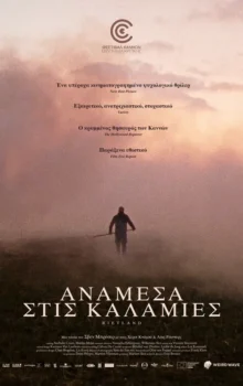 ΑΝΑΜΕΣΑ ΣΤΙΣ ΚΑΛΑΜΙΕΣ