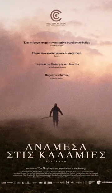 ΑΝΑΜΕΣΑ ΣΤΙΣ ΚΑΛΑΜΙΕΣ